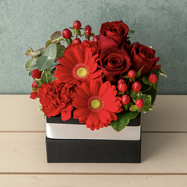 凛と佇む赤の彩り