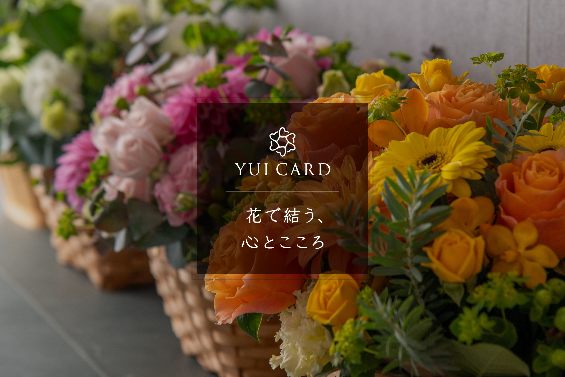 YUI CARD ユイカード